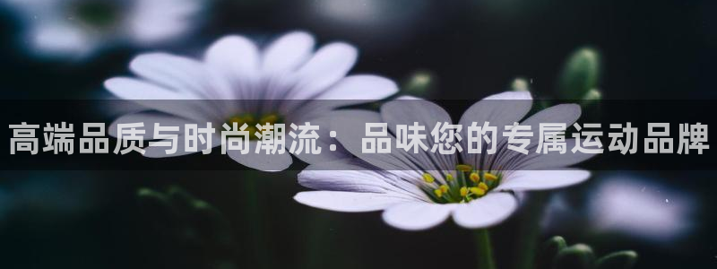 欧亿体育官方正版app娱乐40996：高端品质与时尚潮流：品