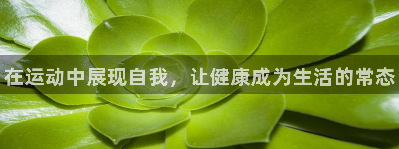 欧亿体育官方正版app五金厂