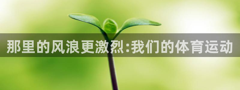 oety欧亿体育官网下载招商电话地址：那里的风浪更激烈:我们