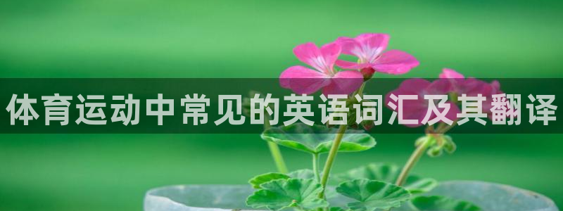 欧亿体育官方正版app娱乐：体育运动中常见的英语词汇