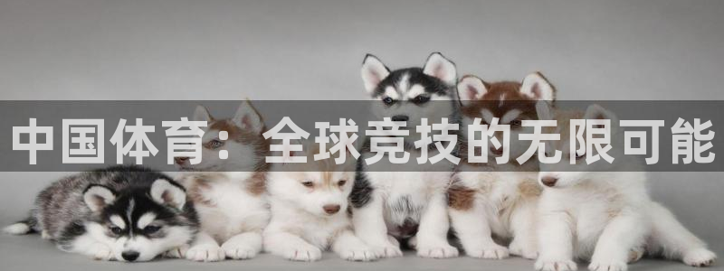 oety欧亿体育官网下载平台注册要钱吗安全吗：中国体