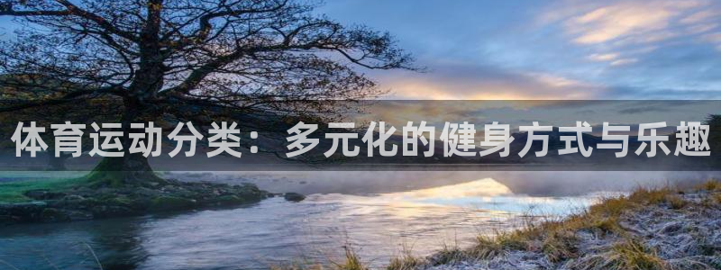 欧亿体育官方正版app集团官网网址：体育运动分类：多元化的健