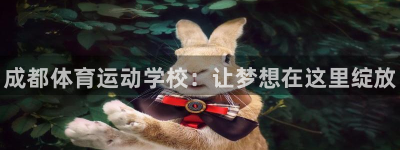 oety欧亿体育官网下载平台是正规平台吗：成都体育运动学校：