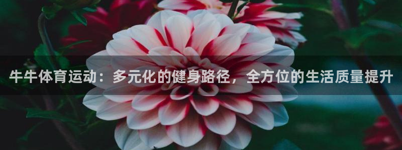 oety欧亿体育官网下载招商