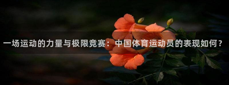 oety欧亿体育官网下载招商电话号码：一场运动的力量