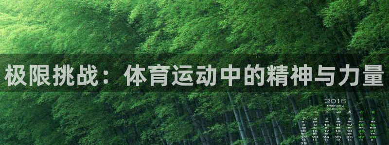 oety欧亿体育官网下载平台是正规平台吗安全吗：极限