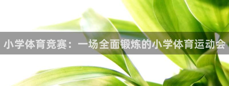 oety欧亿体育官网下载招商电话号码查询：小学体育竞