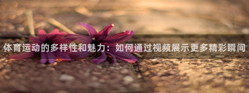 oety欧亿体育官网下载平台是正规平台吗安全吗：体育