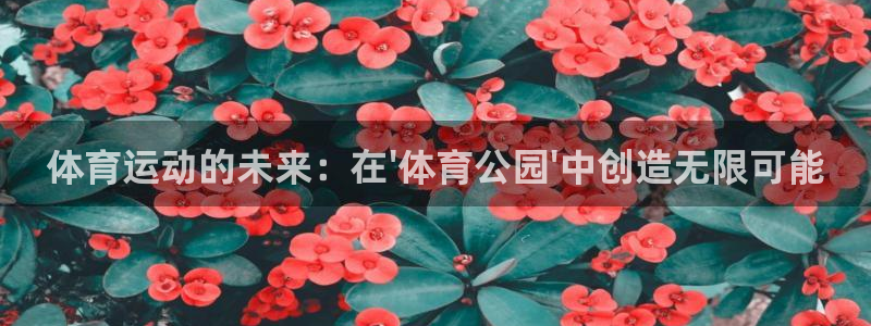 oety欧亿体育官网下载招商电话号码查询是多少：体育运动的未