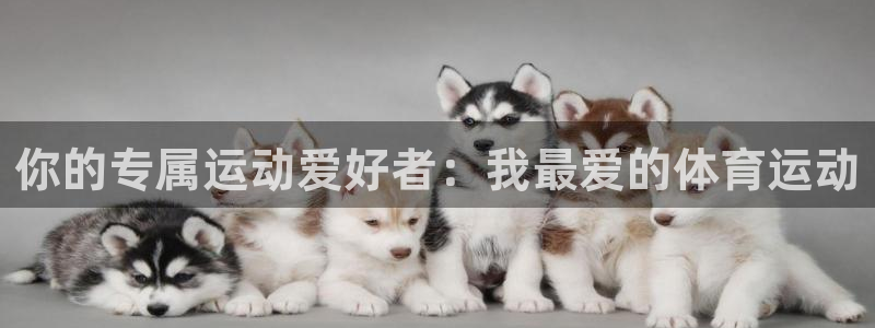 欧亿体育官方正版app娱乐首页官网下载：你的专属运动爱好者：
