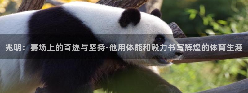 欧亿3内部：兆明：赛场上的奇迹与坚持