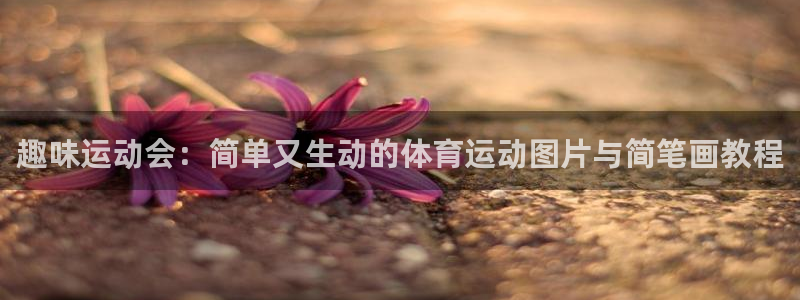 欧亿3浗维33 300：趣味运动会：
