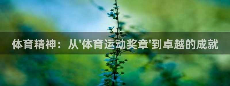 oe欧亿手机2024年新产品：体育精