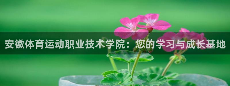 欧亿官网下载appios.交易所app官方.中国：安徽体育运