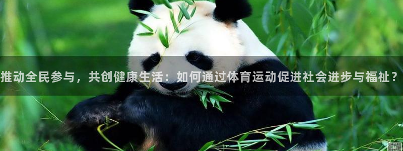 oety欧亿体育网站：推动全民参与，共创健康生活：如何通过体