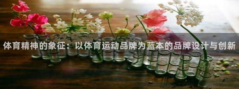 OE欧亿APP下载：体育精神的象征：以体育运动品牌为蓝本的品
