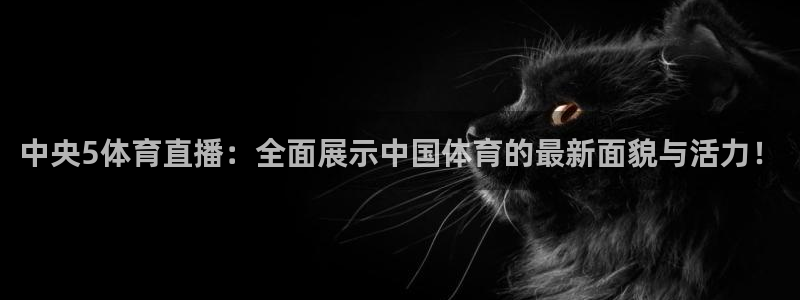 搜球吧在线直播nba