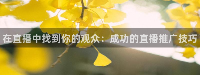 搜球吧8直播免费观看：在直播中找到你的观众：成功的直播推广技巧