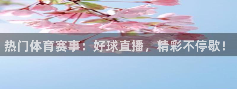 搜球吧直播网