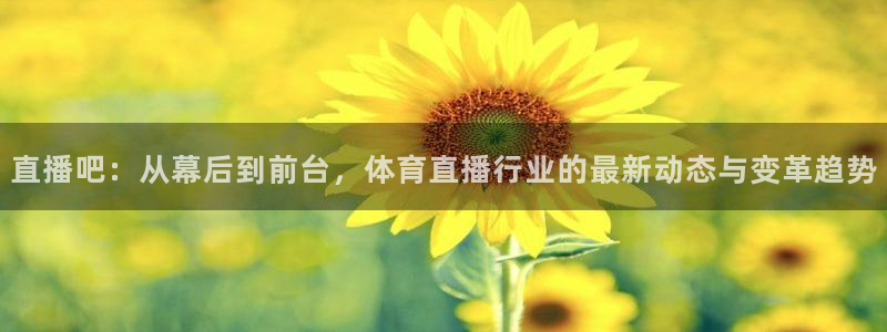 搜球吧nba在线直播：直播吧：从幕后到前台，体育直播行业的最新动态与变革趋势