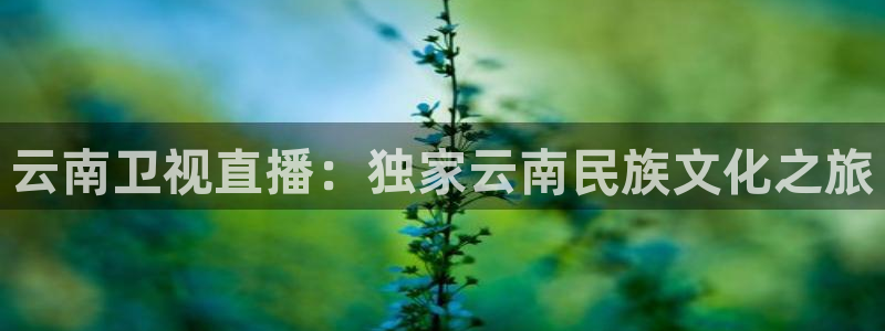 搜球直播吧：云南卫视直播：独家云南民族文化之旅