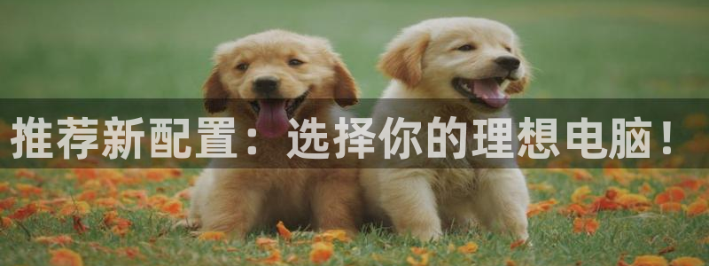nba搜球吧直播：推荐新配置：选择你的理想电脑！