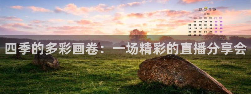 搜球体育官网