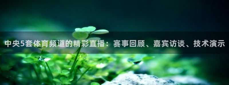 搜球吧 直播