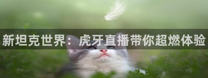 搜球吧直播nba直播：新坦克世界：虎牙直播带你超燃体验